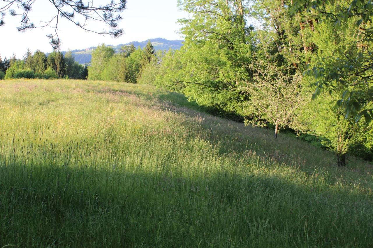 Naturparadies Silvia Alberschwende Zewnętrze zdjęcie
