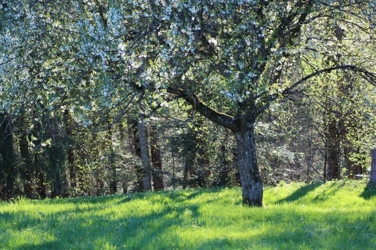 Naturparadies Silvia Alberschwende Zewnętrze zdjęcie