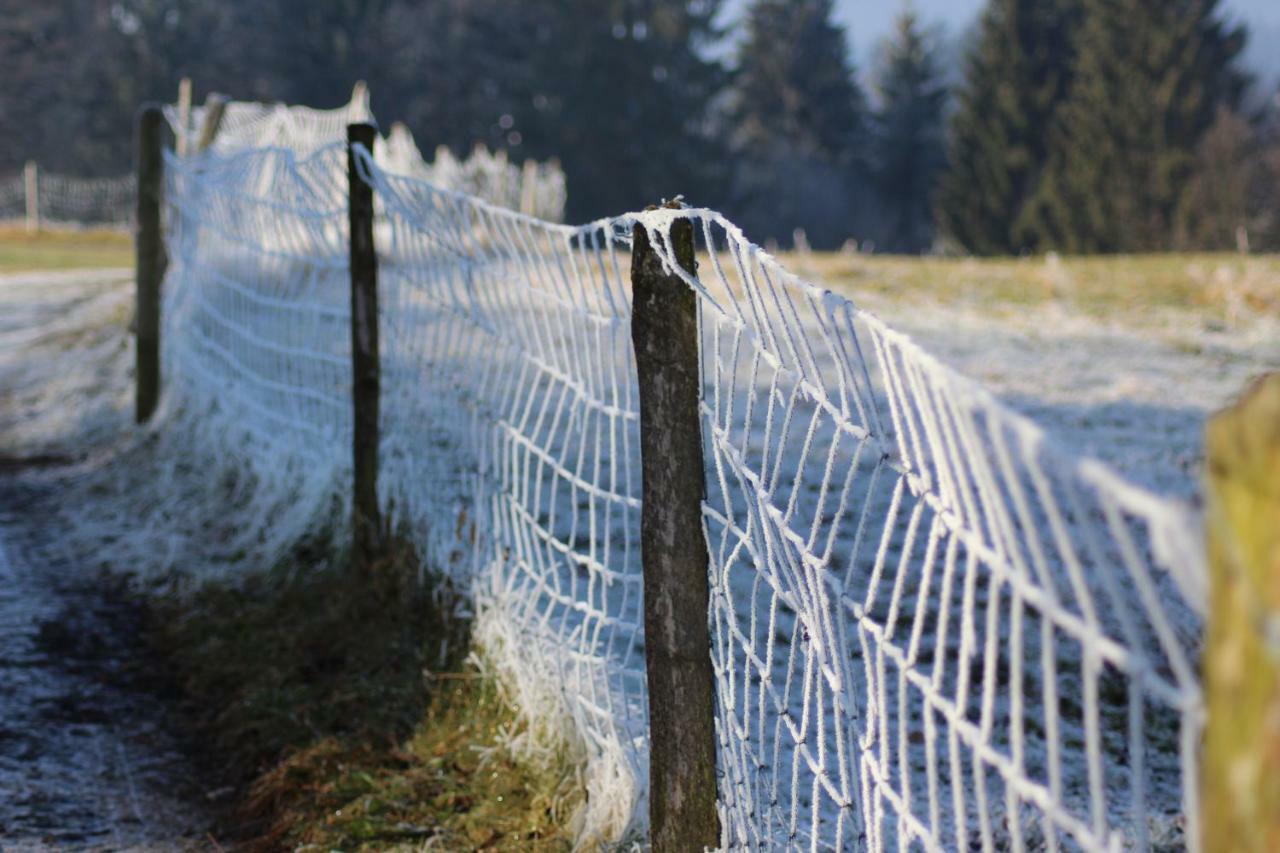 Naturparadies Silvia Alberschwende Zewnętrze zdjęcie